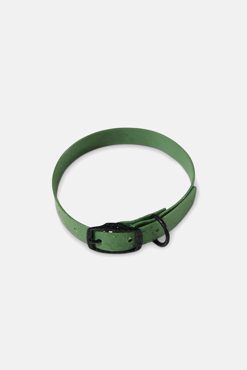 Adjustable Dog Collar, Green