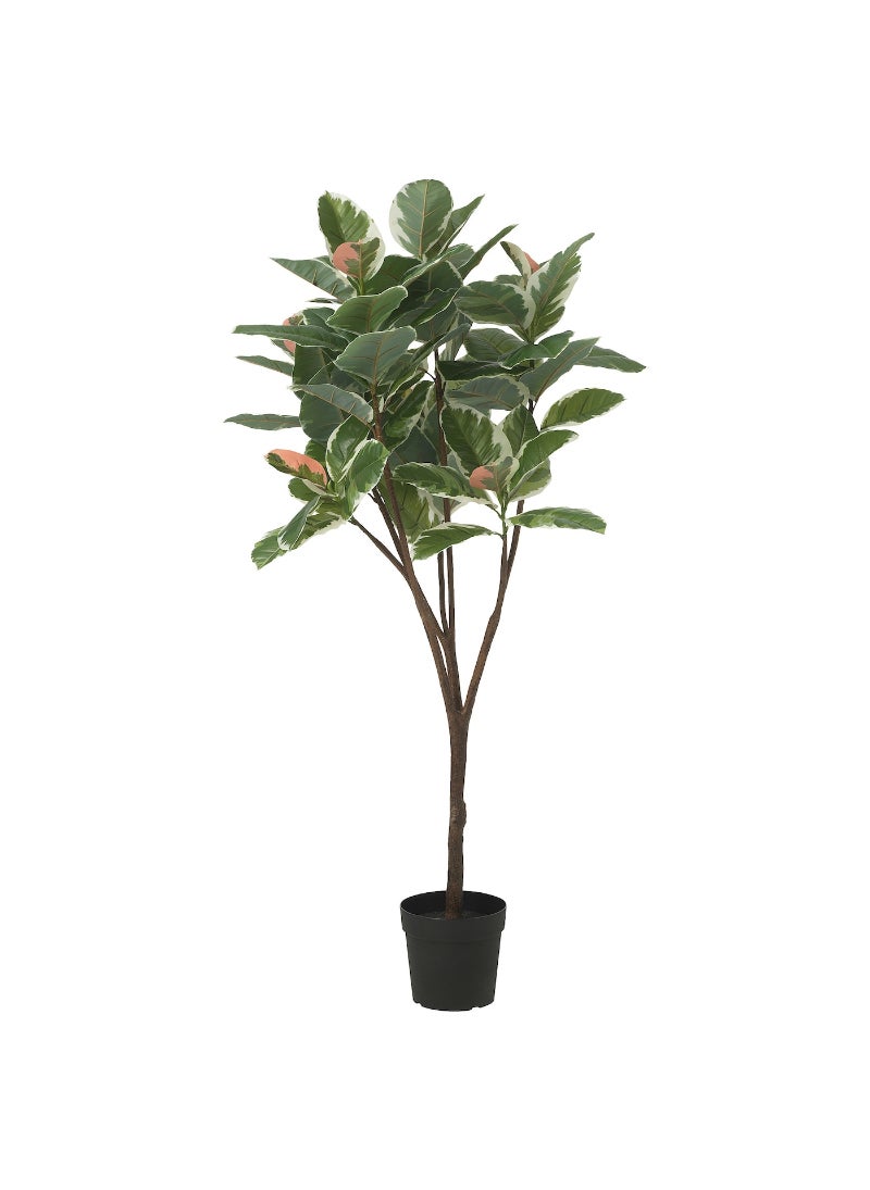 Artificial Potted Plant Indoor & Outdoor Rubber Plant 23 Cm