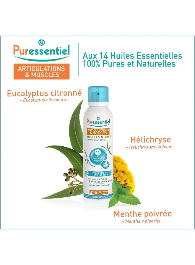 Muscles And Joints Cryo Pure Spray 14 Essential Oils Intense Cold Sensation Soothe Sensitive Areas 15 Years And Up 80Ml