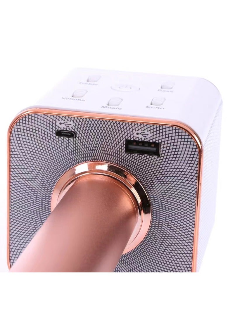 Q7 Bluetooth Karaoke Microphone with Speaker Supports Charging