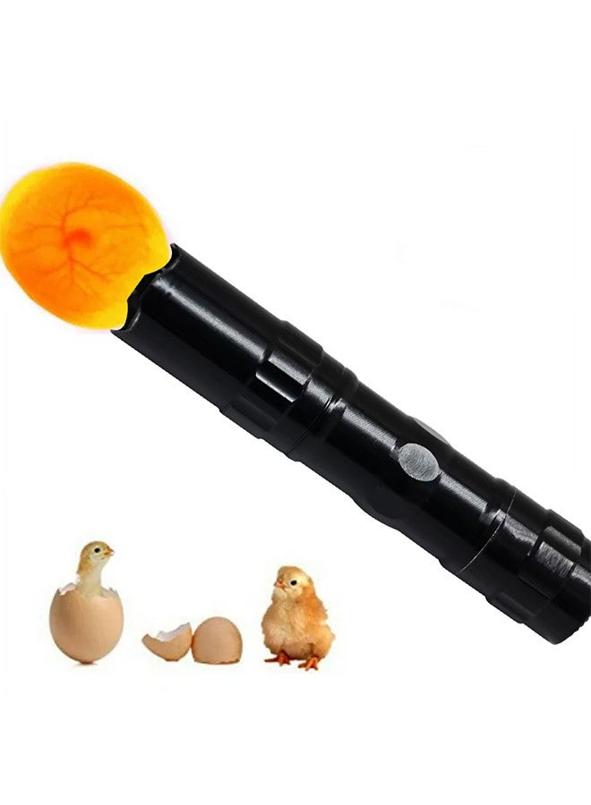 Mini Fully Automatic Egg Incubator with LED Flashlight Torch, 7 Eggs Intelligent Home Temperature Control Incubator for Chicken Duck Goose Quail Birds Fertile Eggs