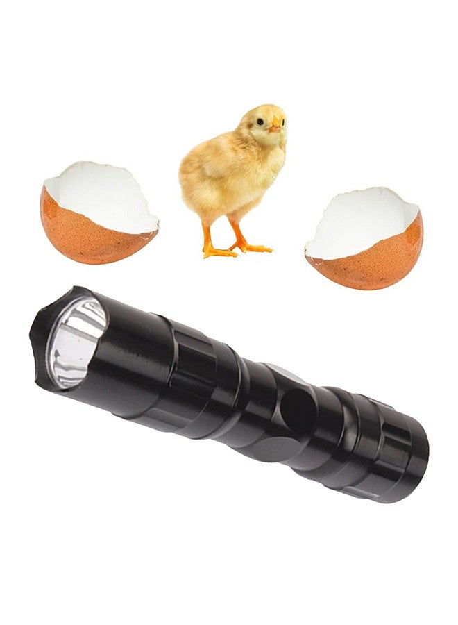 Mini Fully Automatic Egg Incubator with LED Flashlight Torch, 7 Eggs Intelligent Home Temperature Control Incubator for Chicken Duck Goose Quail Birds Fertile Eggs