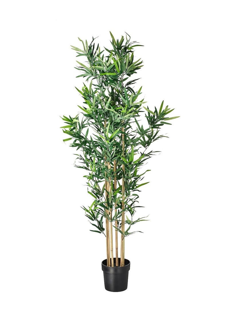 Artificial Potted Plant Indoor & Outdoor Bamboo 23 Cm