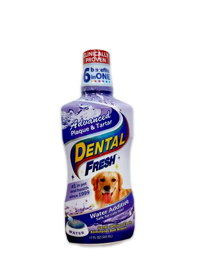 Dental Fresh Plaque And Tartar - 503ML