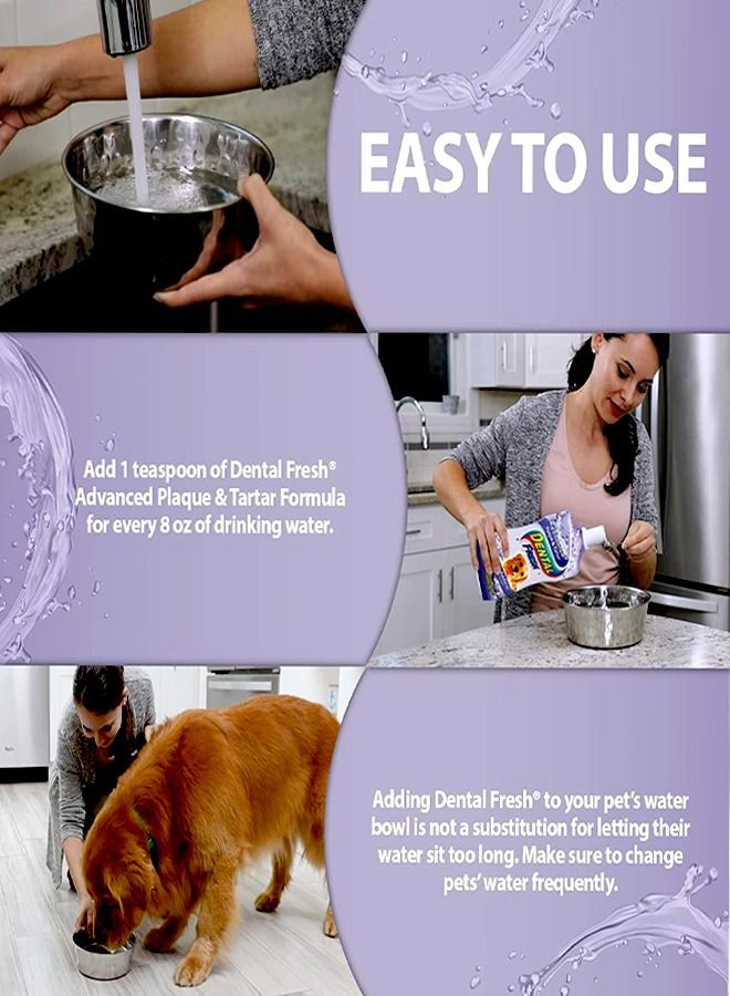 Dental Fresh Plaque And Tartar - 503ML