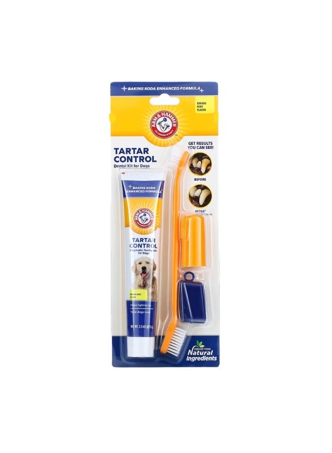 Tartar Control Dental Kit for Dogs Banana Mint