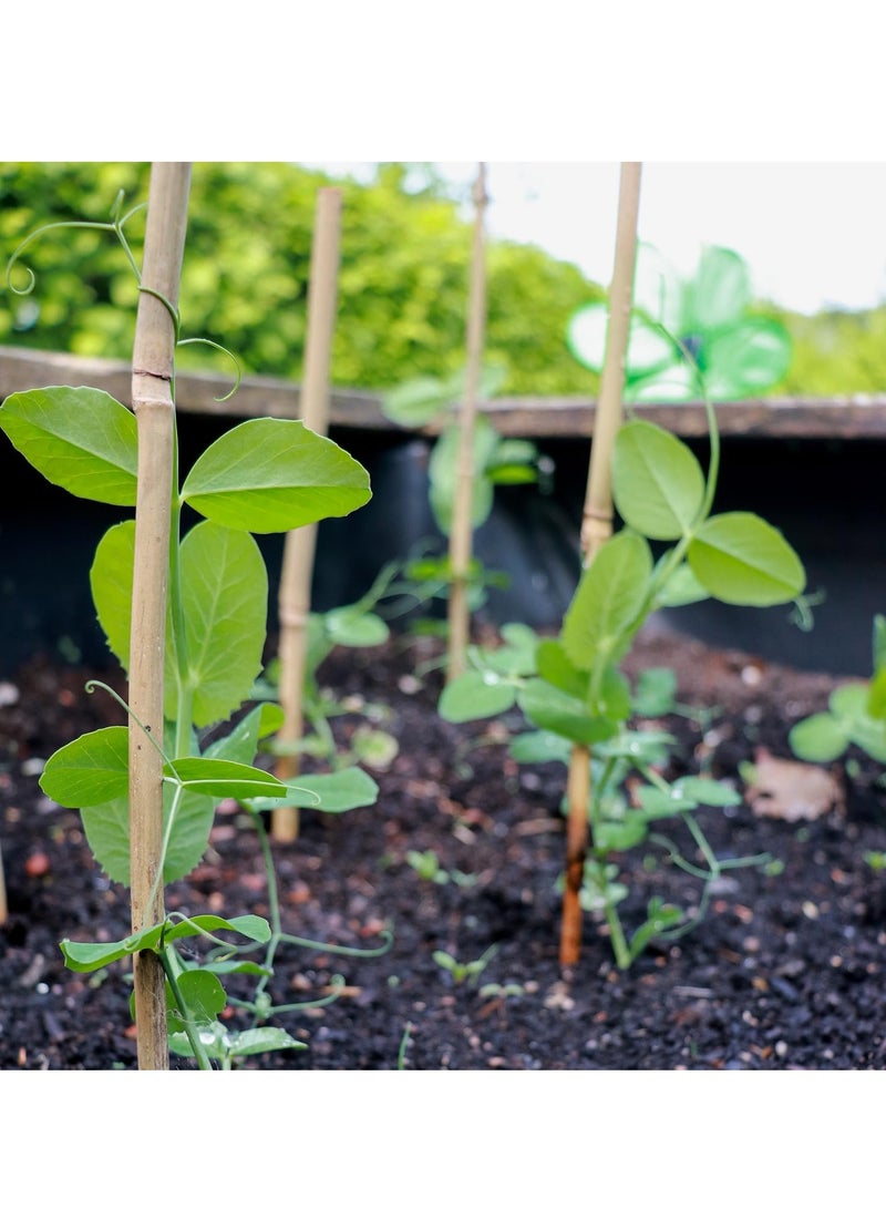 FFD Natural Bamboo Poles - Plant Support Stakes for Indoor & Outdoor Gardening, 100cm Bamboo Stakes for Tomatoes, Beans, Potted Plants & Climbing Vines