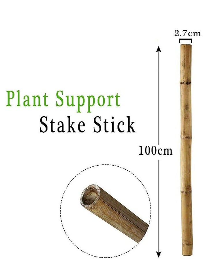 FFD Natural Bamboo Poles - Plant Support Stakes for Indoor & Outdoor Gardening, 100cm Bamboo Stakes for Tomatoes, Beans, Potted Plants & Climbing Vines