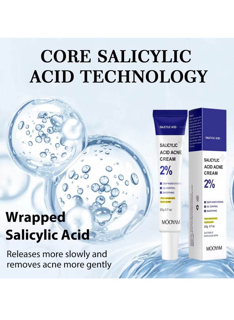 Salicylic Acid Acne Cream Deep Moisturizing Oil Control Smoothing Acne Cream with 2% Salicylic Acid Soothing Cream for Acne Skin Hydrating Oil Control Pore Tightening Acne Cream 20g