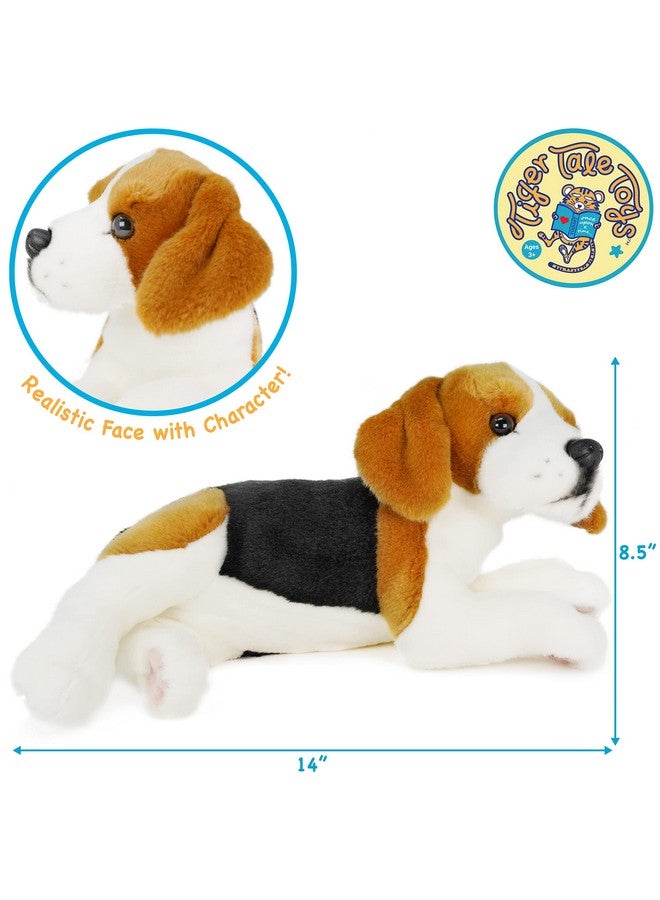 Burkham The Beagle 14 Inch Stuffed Animal Plush By Tigerhart Toys