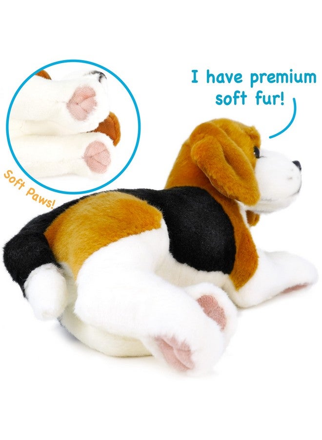 Burkham The Beagle 14 Inch Stuffed Animal Plush By Tigerhart Toys