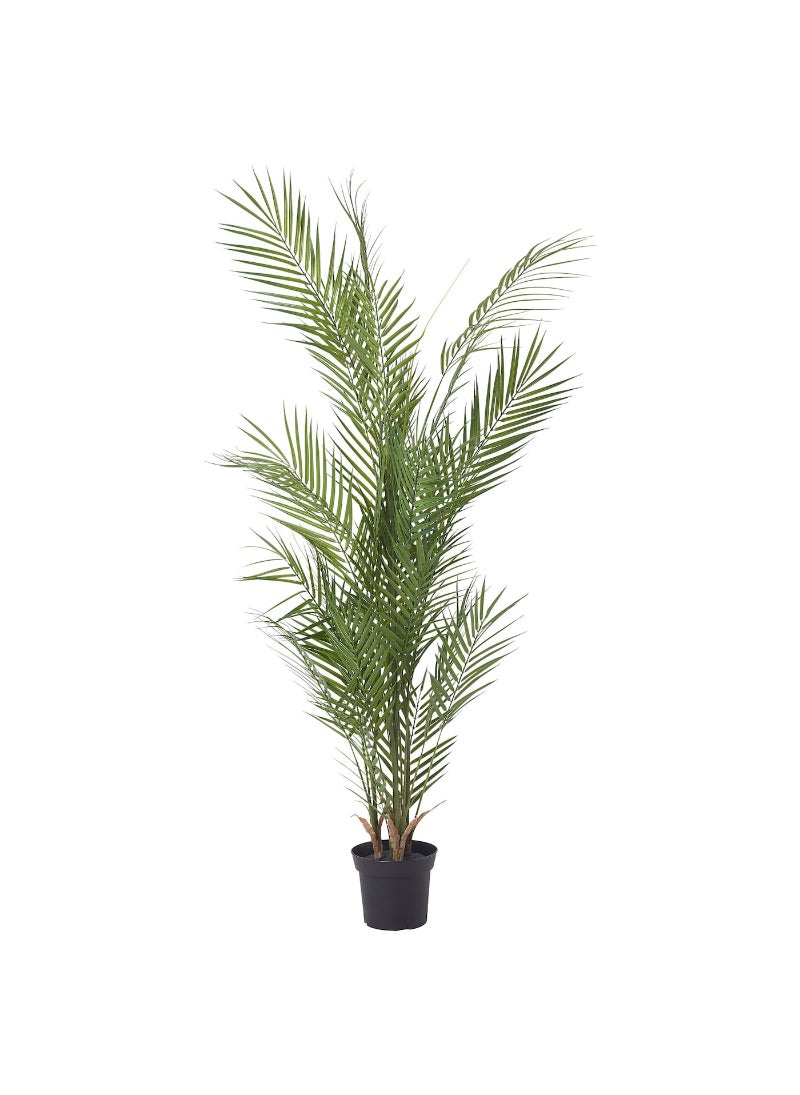 Artificial Potted Plant Indoor & Outdoor Kentia Palm 15 Cm