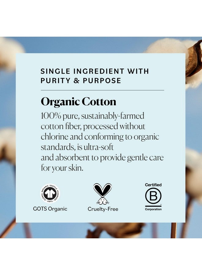 Organic Jumbo Cotton Balls For Sensitive Skin, 100% Pure Organic Cotton Sustainably Grown, Chlorine Free, Hypoallergenic, Ultra-Soft And Absorbant For Beauty & Personal Care, 300 Ct.