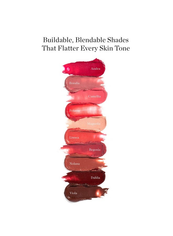 Tinted Sculpted Lip Oil Lip Stain Made With 100% Organic Coconut Oil, Jojoba Oil, And Vitamin E Best As Lip Balm, Lip Color Or Lip Treatment Begonia