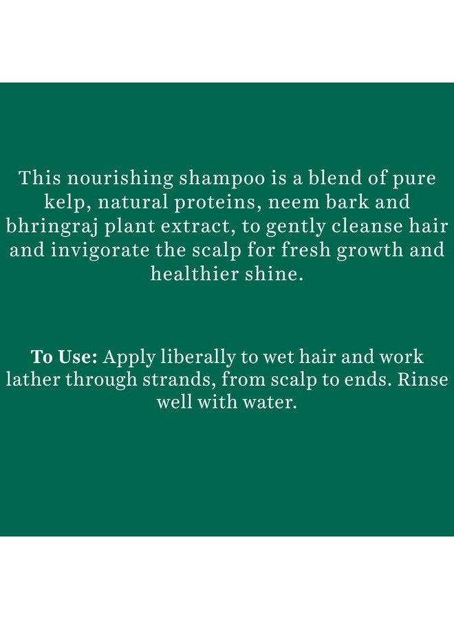 Ocean Kelp Anti Hairfall Shampoo | Intensive Hair Growth Therapy| Anti Hairfall Shampoo That Maintains Shine |100% Botanical Extracts | Suitable For All Hair Types |340Ml