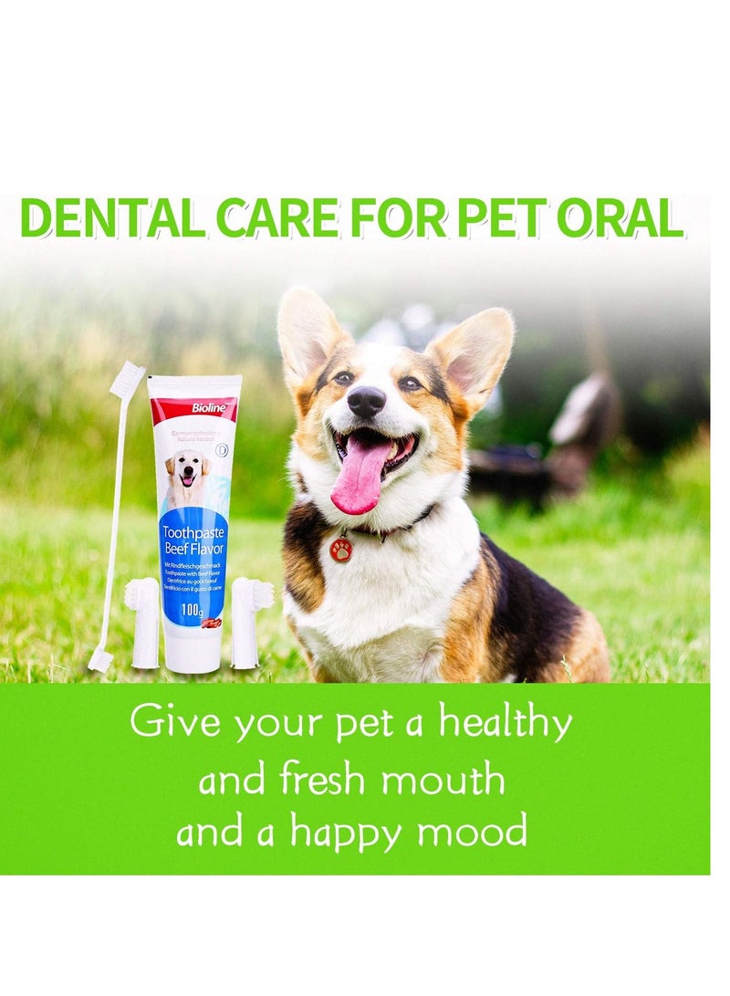 Dental Care Set Beef Flavor Toothpaste And Toothbrush Pet Oral Teeth Cleaning Set 2X100g