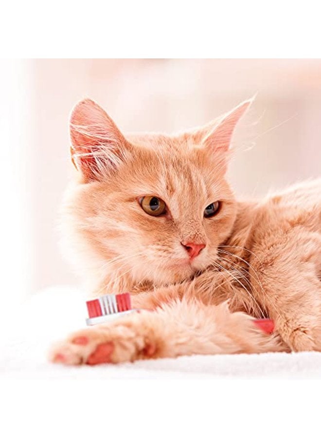 Beaphar Toothbrush & Toothpaste Combipack For Cats & Dogs