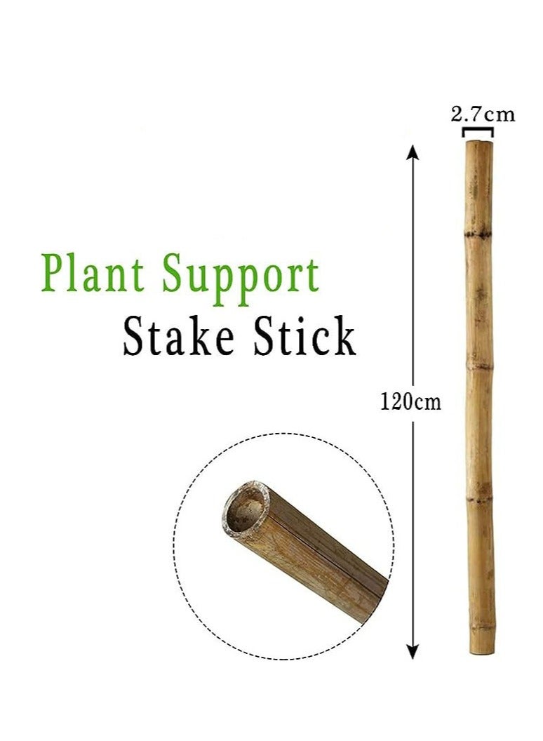 FFD Bamboo Poles - Plant Support Stakes for Indoor & Outdoor Gardening, 120cm Bamboo Stakes for Tomatoes, Beans, Potted Plants & Climbing Vines