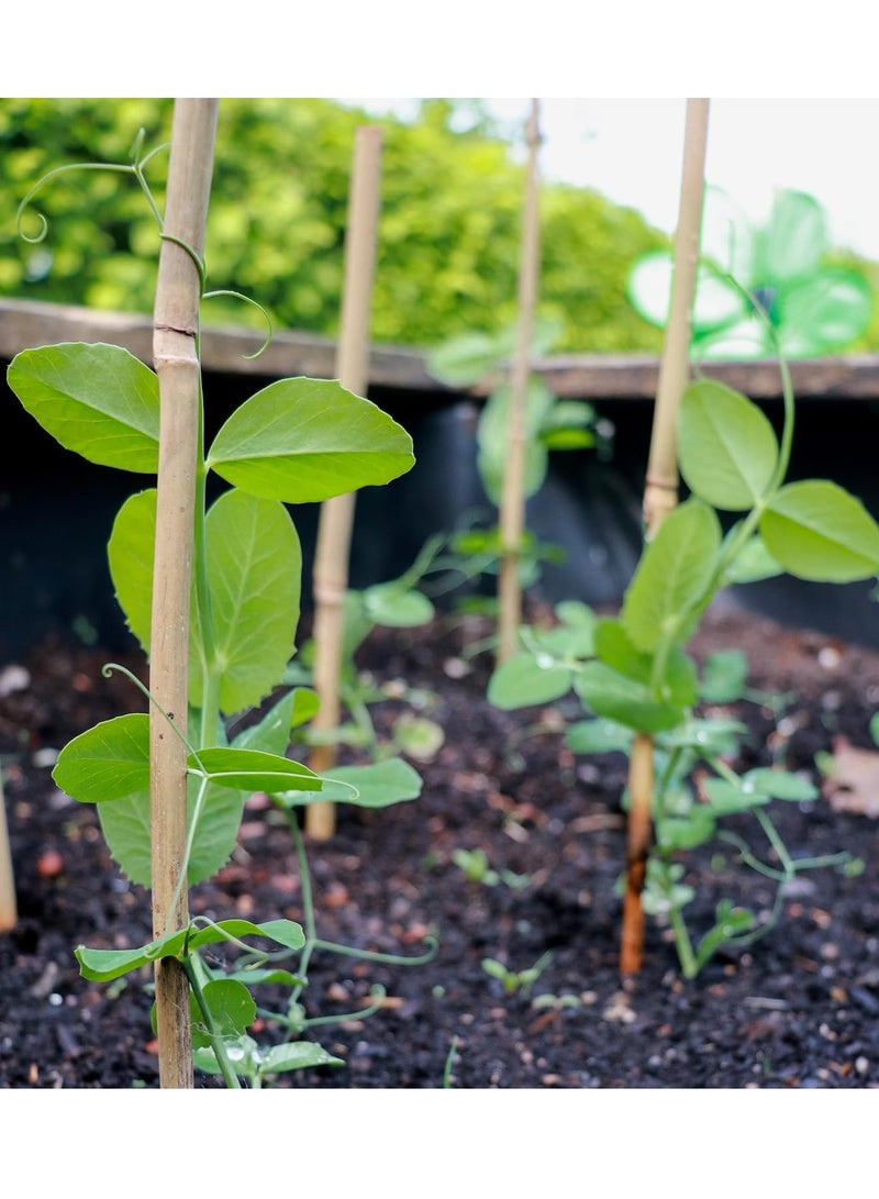 FFD Bamboo Poles - Plant Support Stakes for Indoor & Outdoor Gardening, 120cm Bamboo Stakes for Tomatoes, Beans, Potted Plants & Climbing Vines