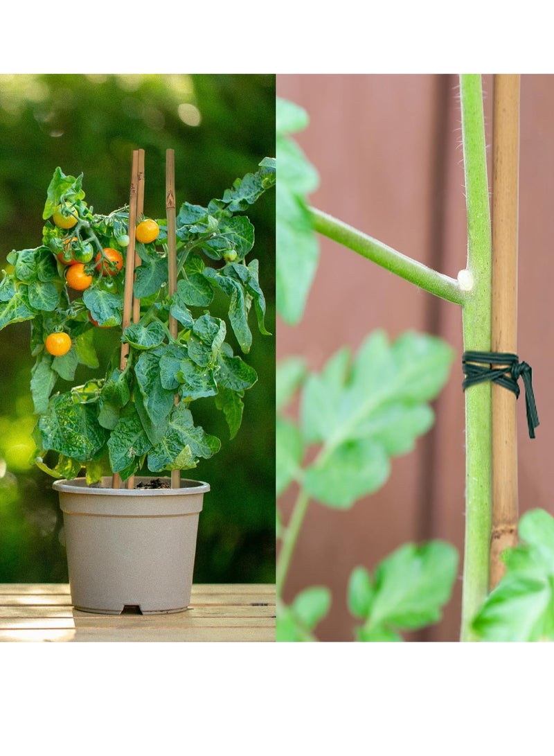 FFD Bamboo Poles - Plant Support Stakes for Indoor & Outdoor Gardening, 120cm Bamboo Stakes for Tomatoes, Beans, Potted Plants & Climbing Vines