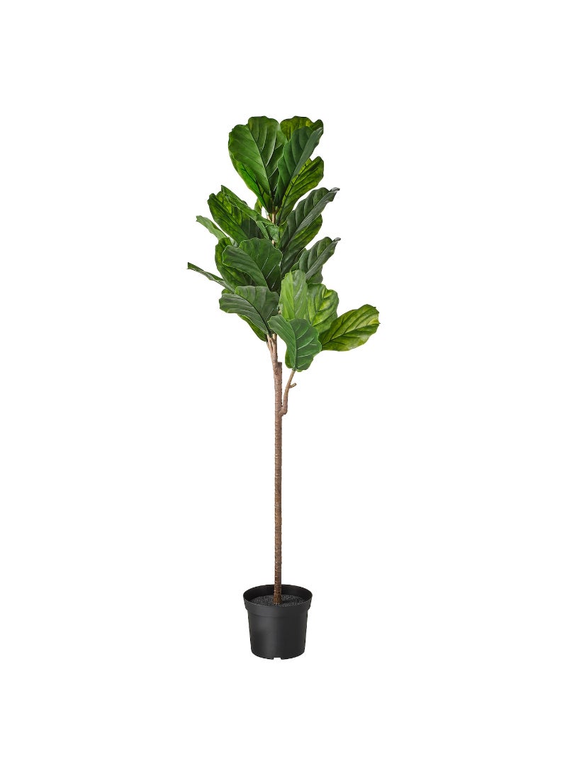 Artificial Potted Plant Indoor & Outdoor Fiddle-Leaf Fig 19 Cm