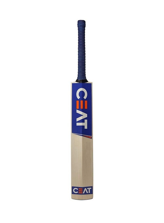 Popular Willow Scoop Cricket Bat With Tennis Ball & Bat Cover For Tennis Ball Full Size For Boys And Girls (Cricket Bat With Bat Cover)