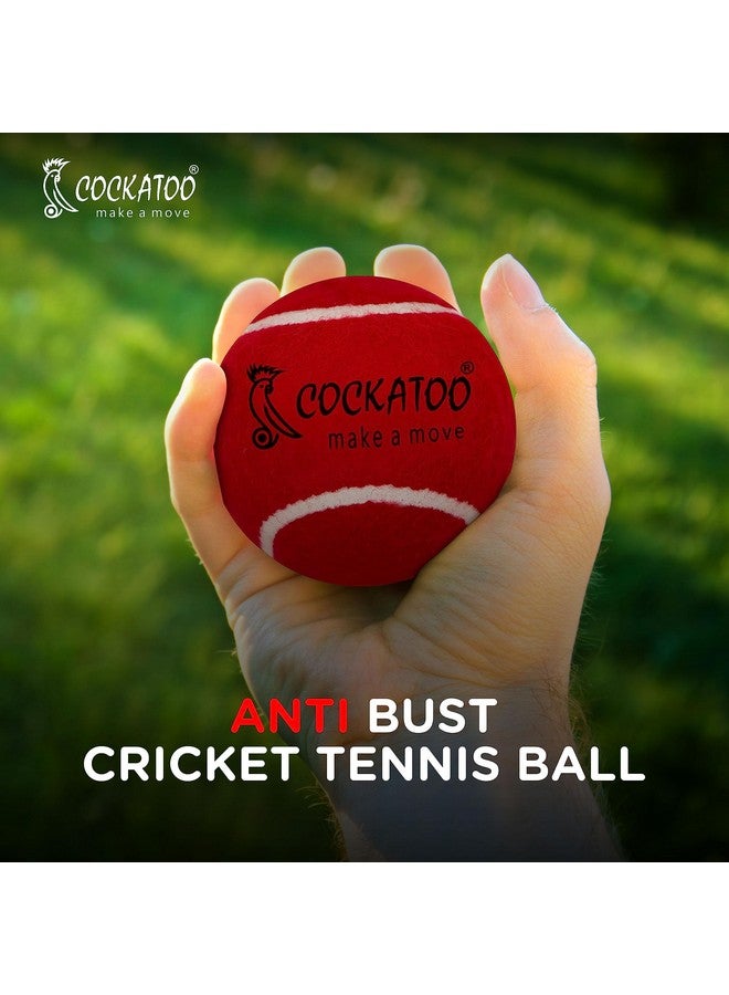 Rubber Cricket Tennis Ball, Construction Of Tennis Ball For Cricket For Optimal Performance,Suitable For All Skill Levels. (120 Gr Per Ball-Pack Of 6-Red)