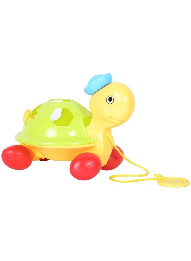 Littles Pull Along Shape Sorting Tortoise