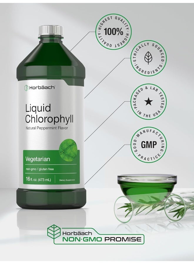 Liquid Chlorophyll 950Ml (2 X 470Ml Bottles) Vegetarian, Non Gmo, Gluten Free Unflavored 100 Mg Chlorophyll Internal Deodorant