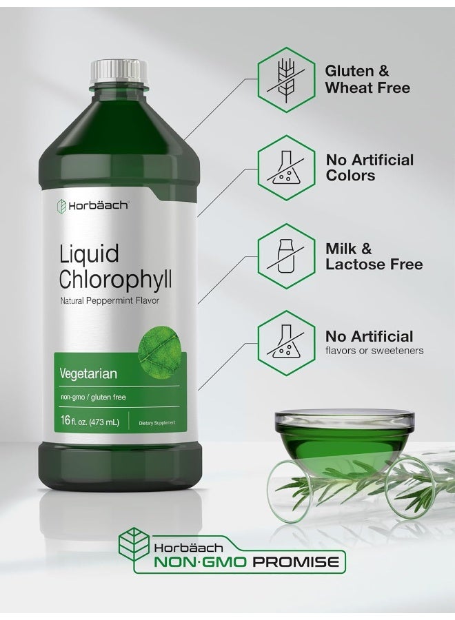 Liquid Chlorophyll 950Ml (2 X 470Ml Bottles) Vegetarian, Non Gmo, Gluten Free Unflavored 100 Mg Chlorophyll Internal Deodorant