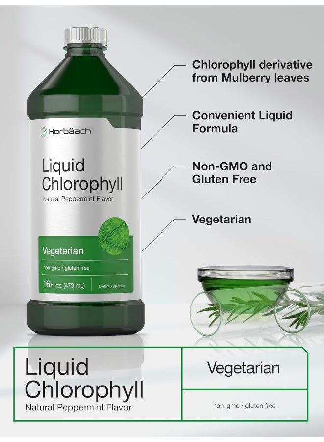 Liquid Chlorophyll 950Ml (2 X 470Ml Bottles) Vegetarian, Non Gmo, Gluten Free Unflavored 100 Mg Chlorophyll Internal Deodorant