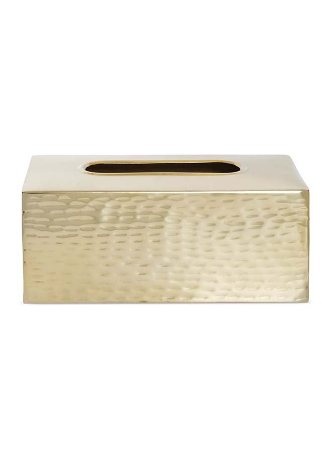 Ava Tissue Box Cover, Gold - 25x10 cm