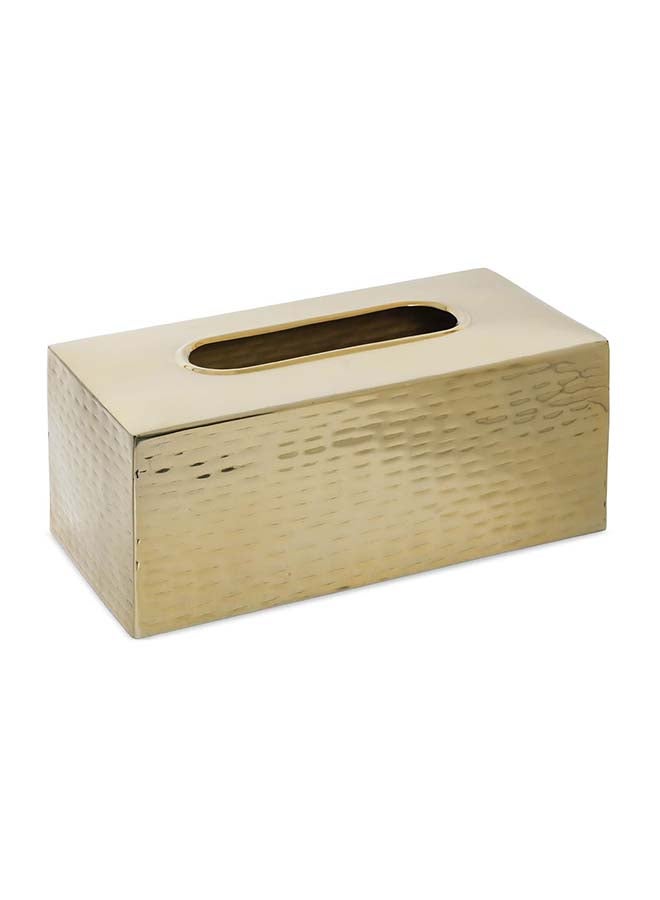 Ava Tissue Box Cover, Gold - 25x10 cm