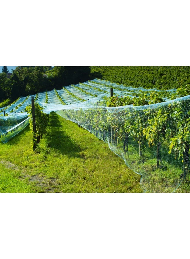 Candyhome  13Ft x 33Ft Anti Bird Protection Mesh Garden Netting Seedlings Plants Flowers Fruit Trees Vegetables from Rodents Deer Reusable Fencing Green