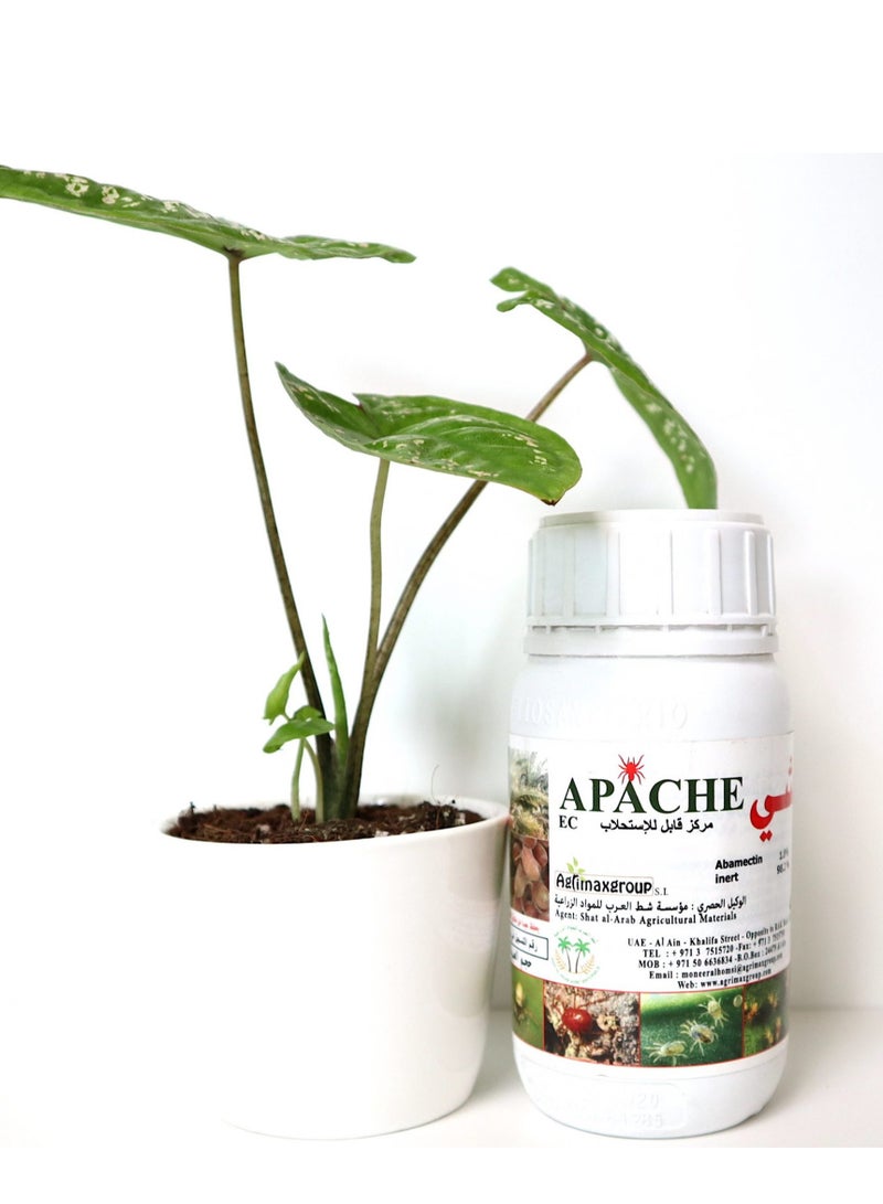 Apache 1.8% EC “Acaricide & Insecticide”