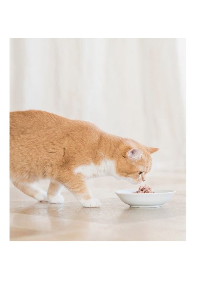 Jelly Tuna With Whitebaits Cat Wet Food