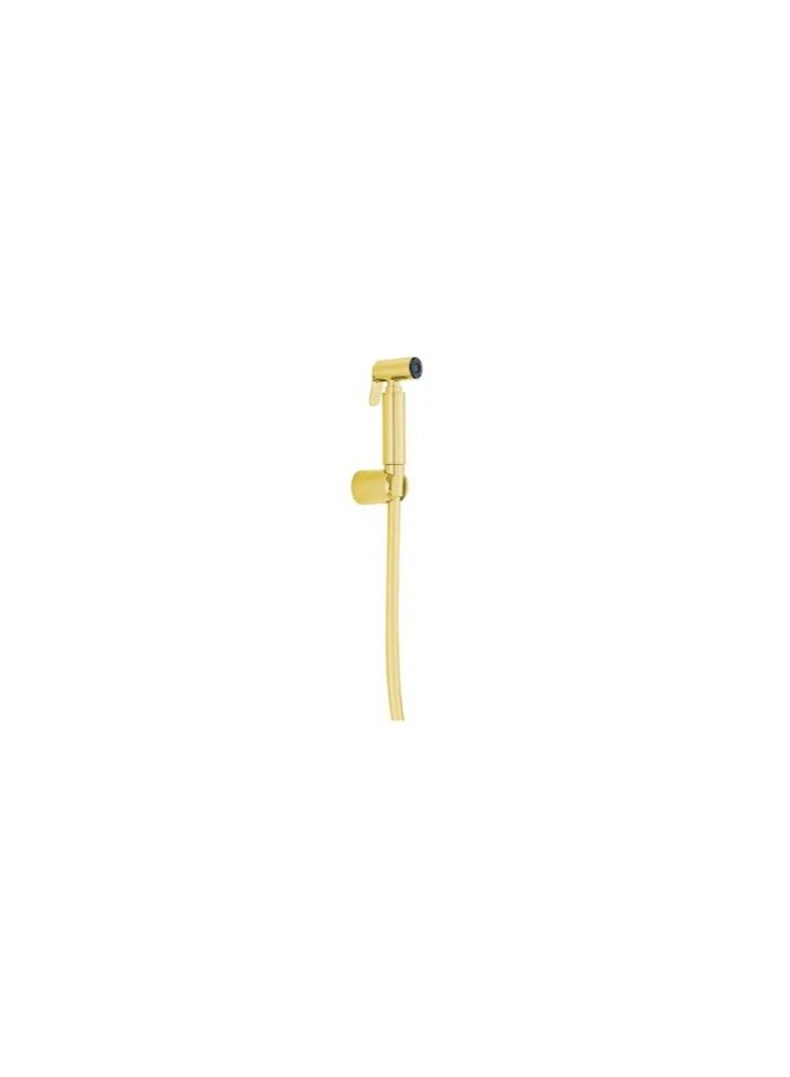 Kludi Rak Brass Shattaf with supreme hose & wall bracket Gold