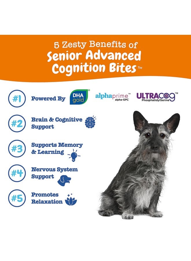 Advanced Cognition Soft Chews For Dogs  With Omega 3 Dha, Ashwagandha & Alpha Gpc  For Senior Dog Brain Health & Nervous System Support  Supplement For Calming & Relaxation  90 Count