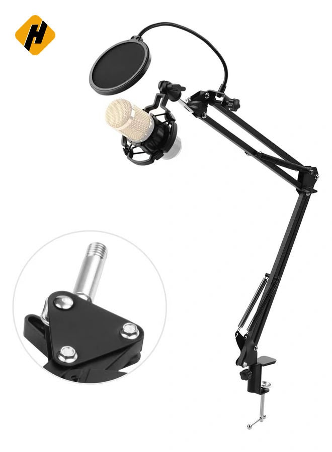 Microphone Stand,Adjustable Foldable Microphone Stand Heaby Duty Metal Mic Arm Bracket with Shock Proof Holder Windshield Pop Filter for Studio Recording Live Video Broadcasting Online Singing