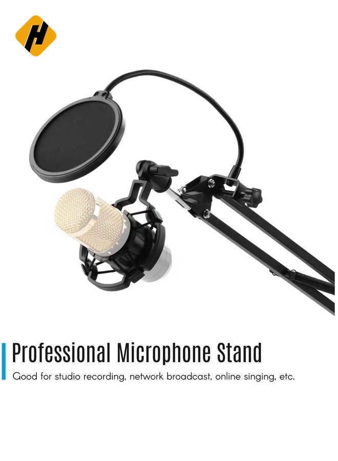 Microphone Stand,Adjustable Foldable Microphone Stand Heaby Duty Metal Mic Arm Bracket with Shock Proof Holder Windshield Pop Filter for Studio Recording Live Video Broadcasting Online Singing