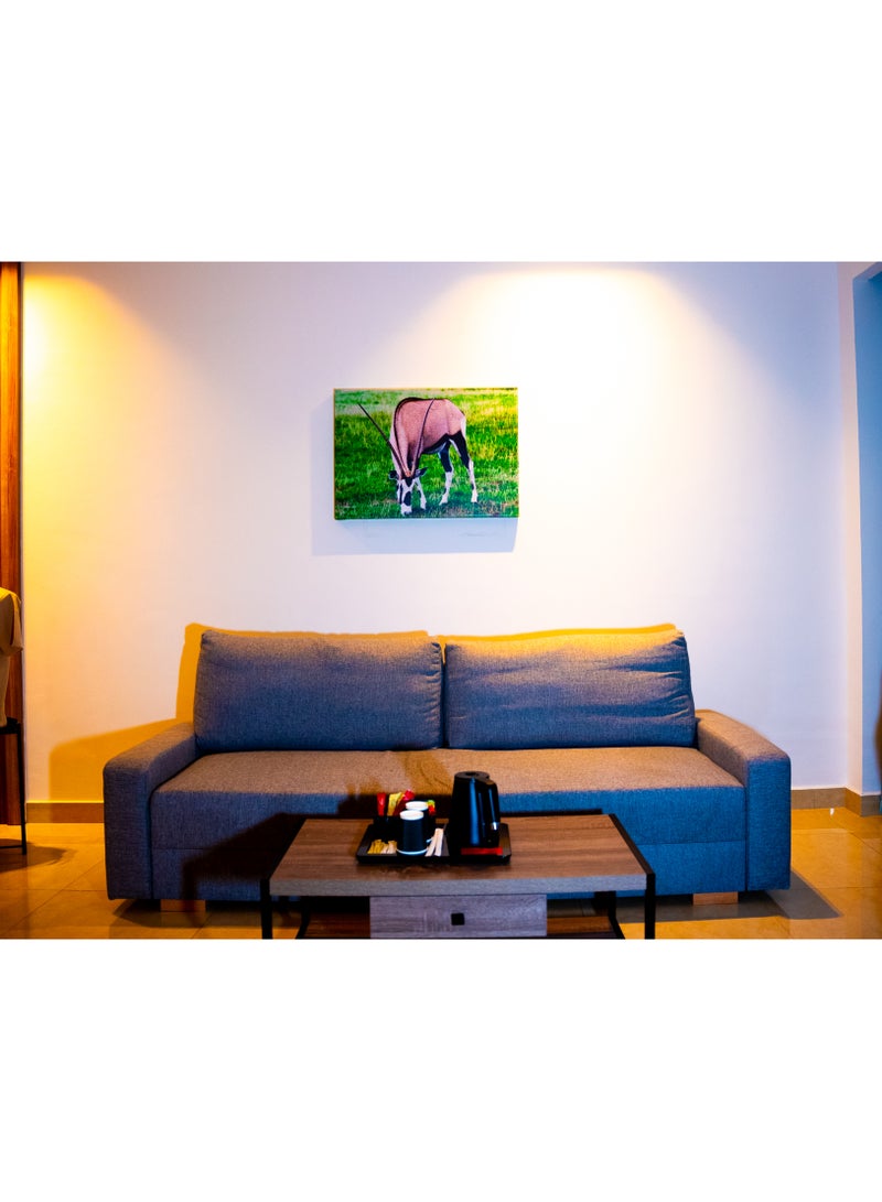 Grazing Oryx (Gemsbok) Canvas Wall Frame