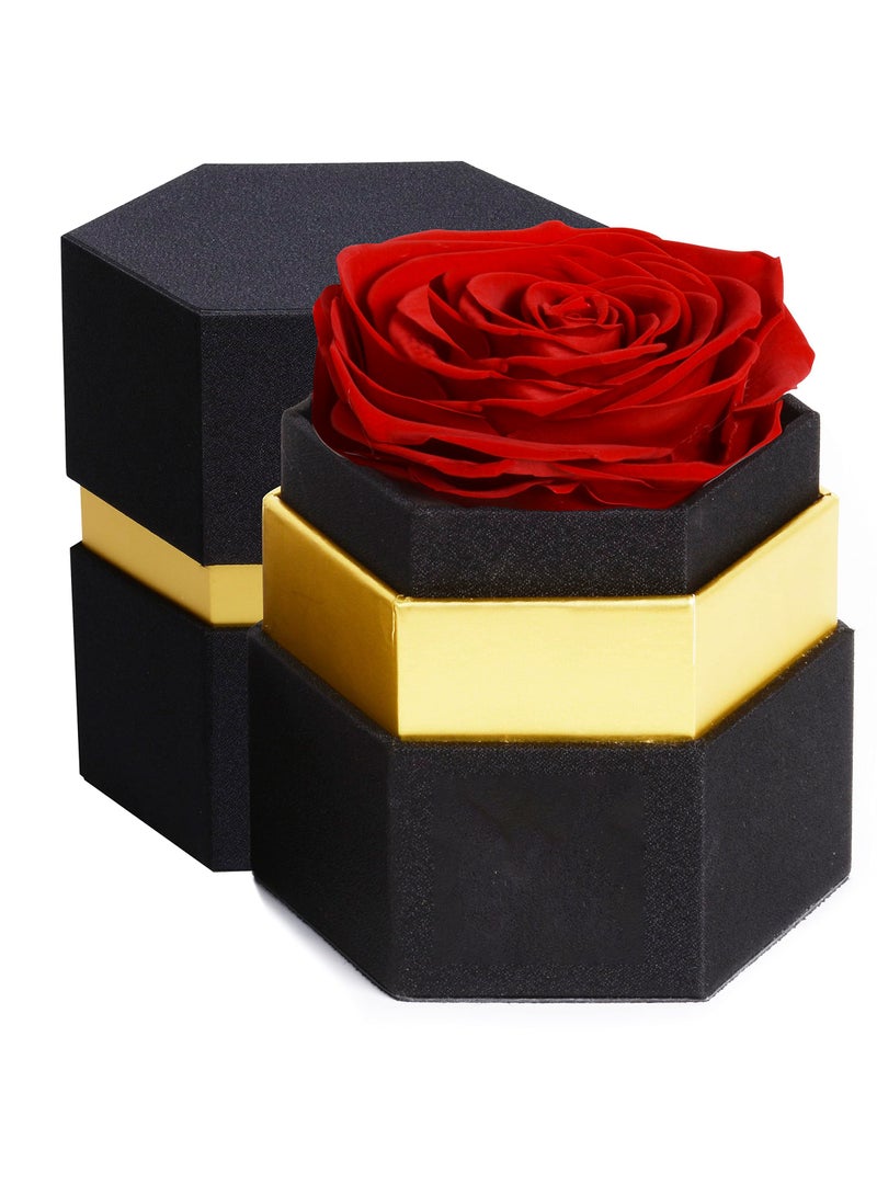 Hexagon Single Forever Red Rose Box, Preserved Roses in a Box, Immortal Roses in a Box That Last A Year, Eternal Rose Preserved Flowers for Delivery Prime Mothers