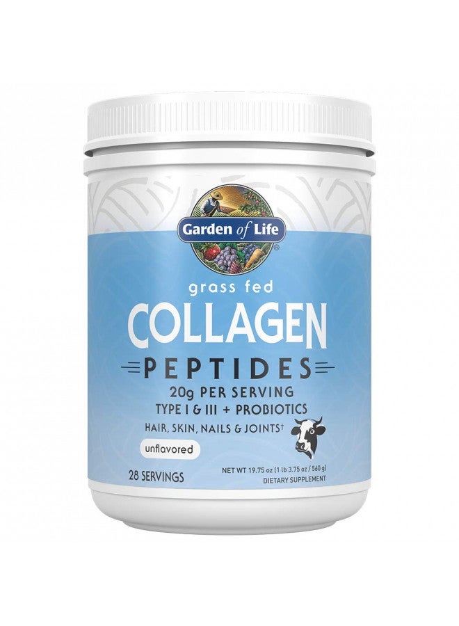 Garden of Life Grass Fed Hydrolyzed Collagen Protein Supplements Peptides Powder for Women Men Hair Skin Nails Joints, Post Workout, Paleo & Keto, 28 Servings, White, Unflavored, 19.75 Oz