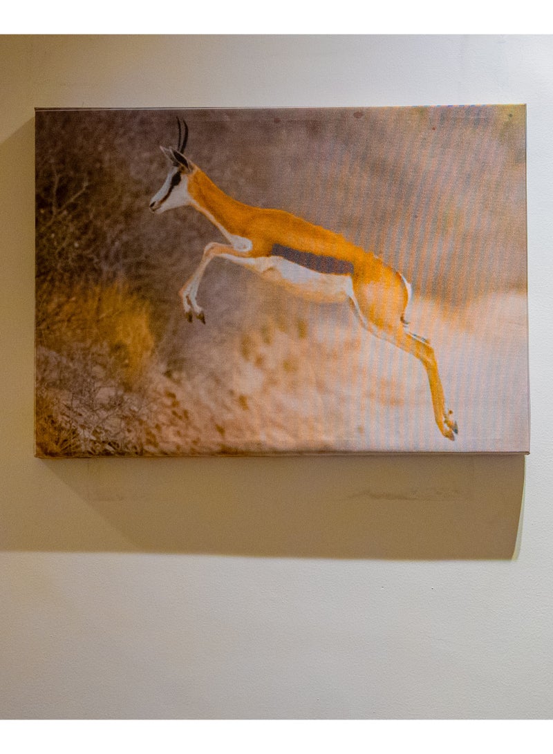 Gazelle in Flight (Springbok) Canvas Wall Frame