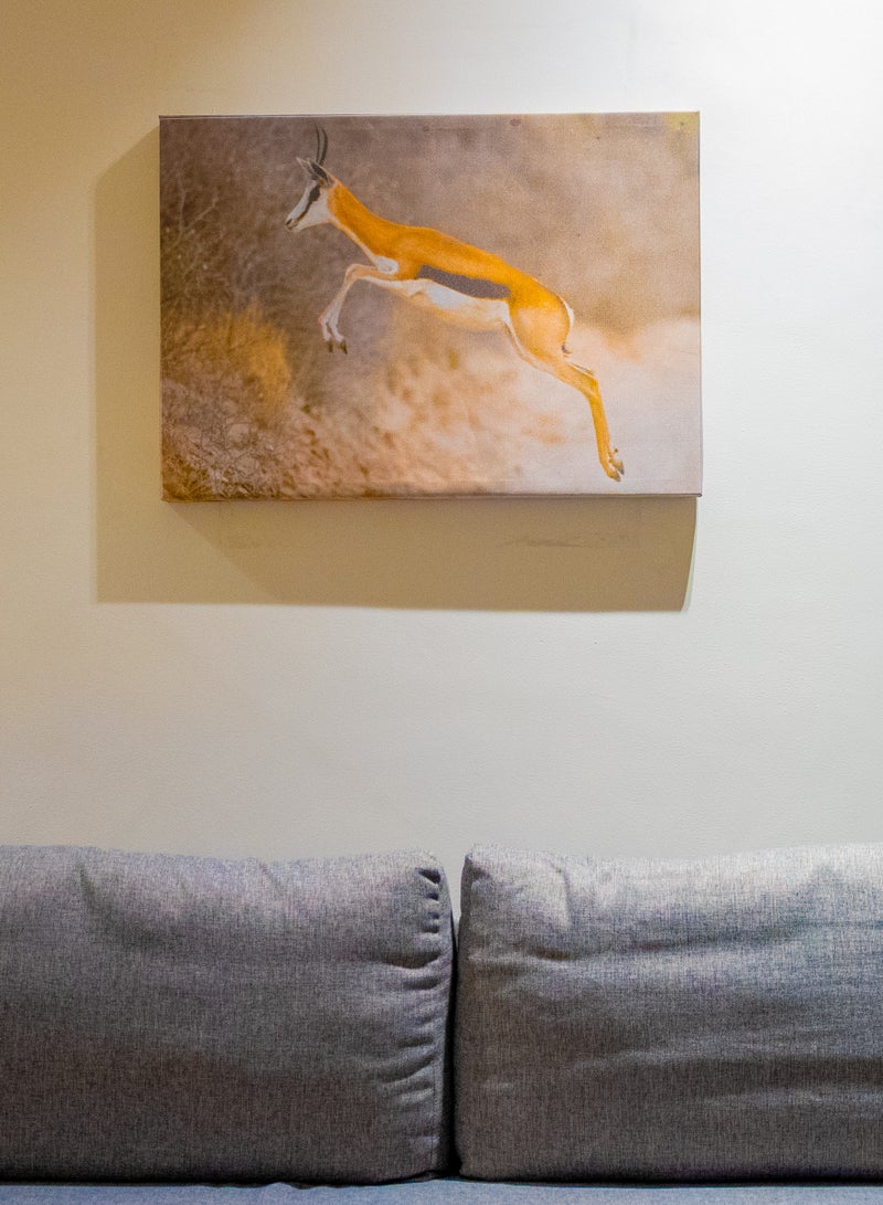 Gazelle in Flight (Springbok) Canvas Wall Frame