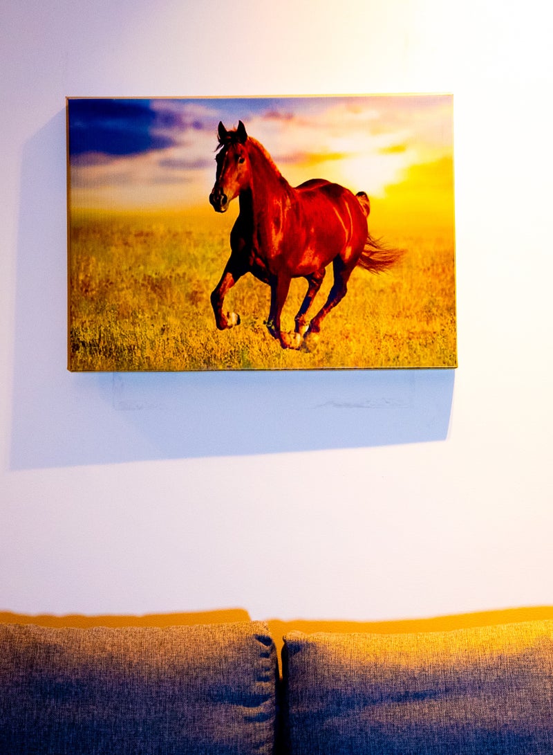 Majestic Gallop Canvas Wall Frame