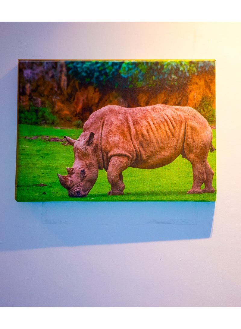 Rhinoceros in the Grasslands Canvas Wall Frame