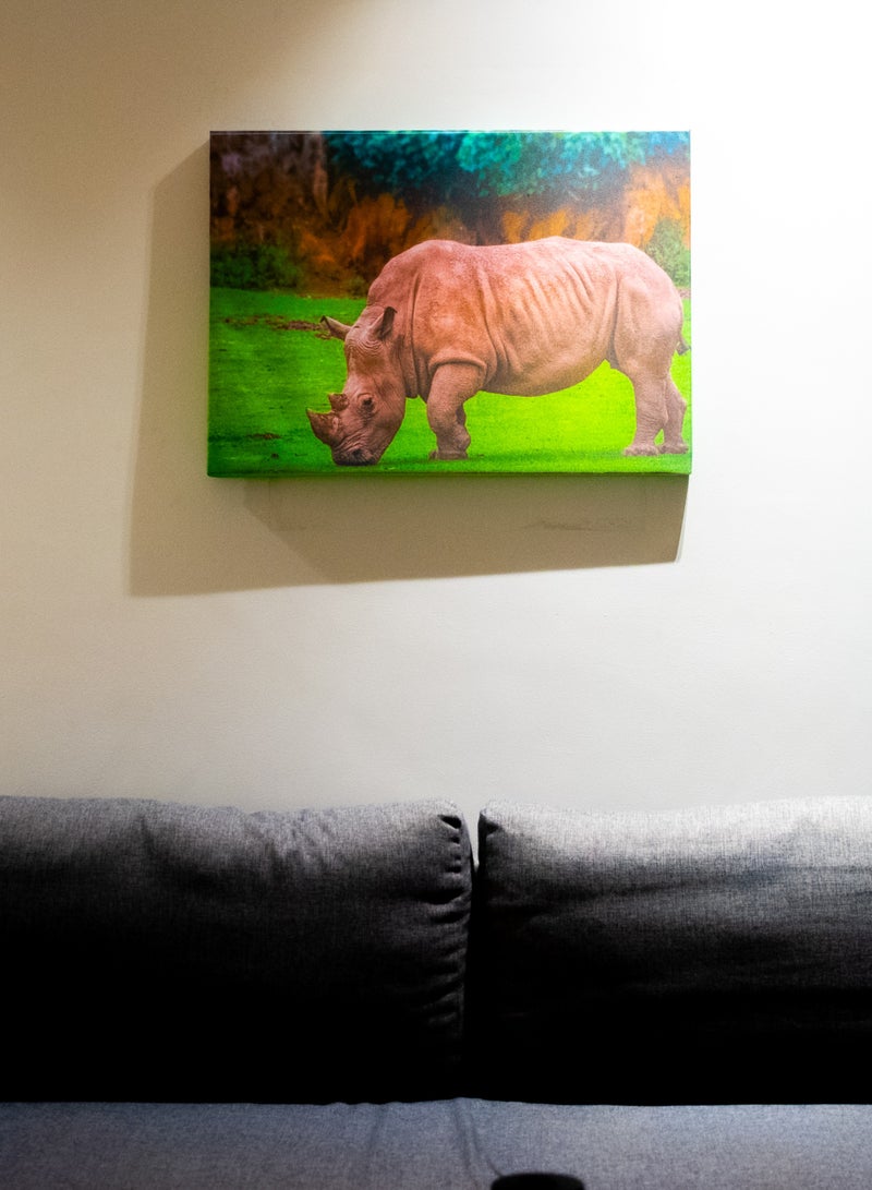 Rhinoceros in the Grasslands Canvas Wall Frame