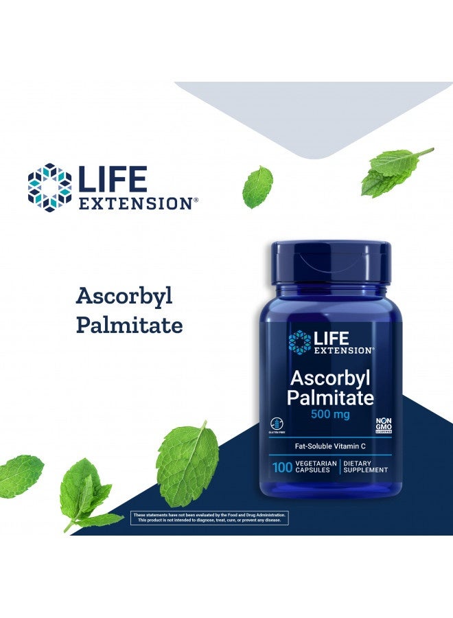 Life Extension Ascorbyl Palmitate 500Mg – Fat-Soluble Vitamin C Supplement For Immune Support And Longevity – Water-Soluble Gluten-Free, Non-Gmo, Vegetarian – 100 Capsules