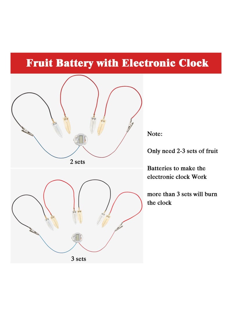 4 Sets Fruit Battery Kit, Lemon-Potato Battery Science Experiment Set Physics Teaching Tool Educational Toy Clock Hands-On Science Toy STEM Exploration Activity Bioenergy Experiment Kit for Students